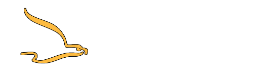 Liberty Life Center Logo